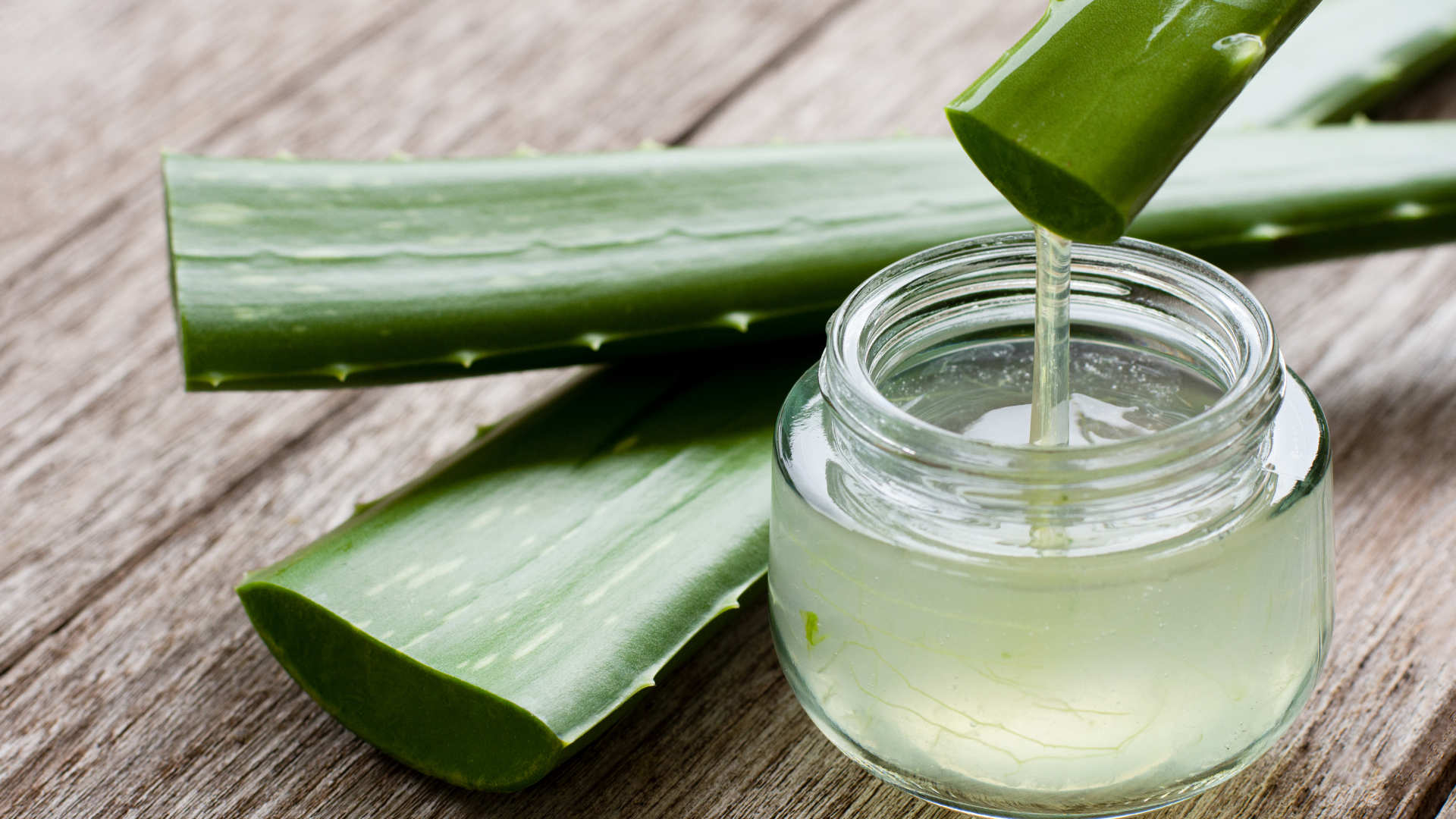 L'Aloe Vera 🌿